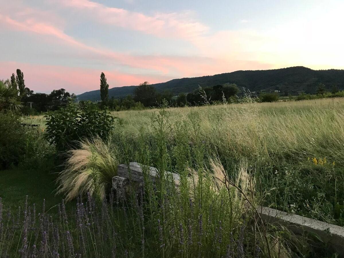 Gites La Musardiere Alba-la-Romaine Rum bild