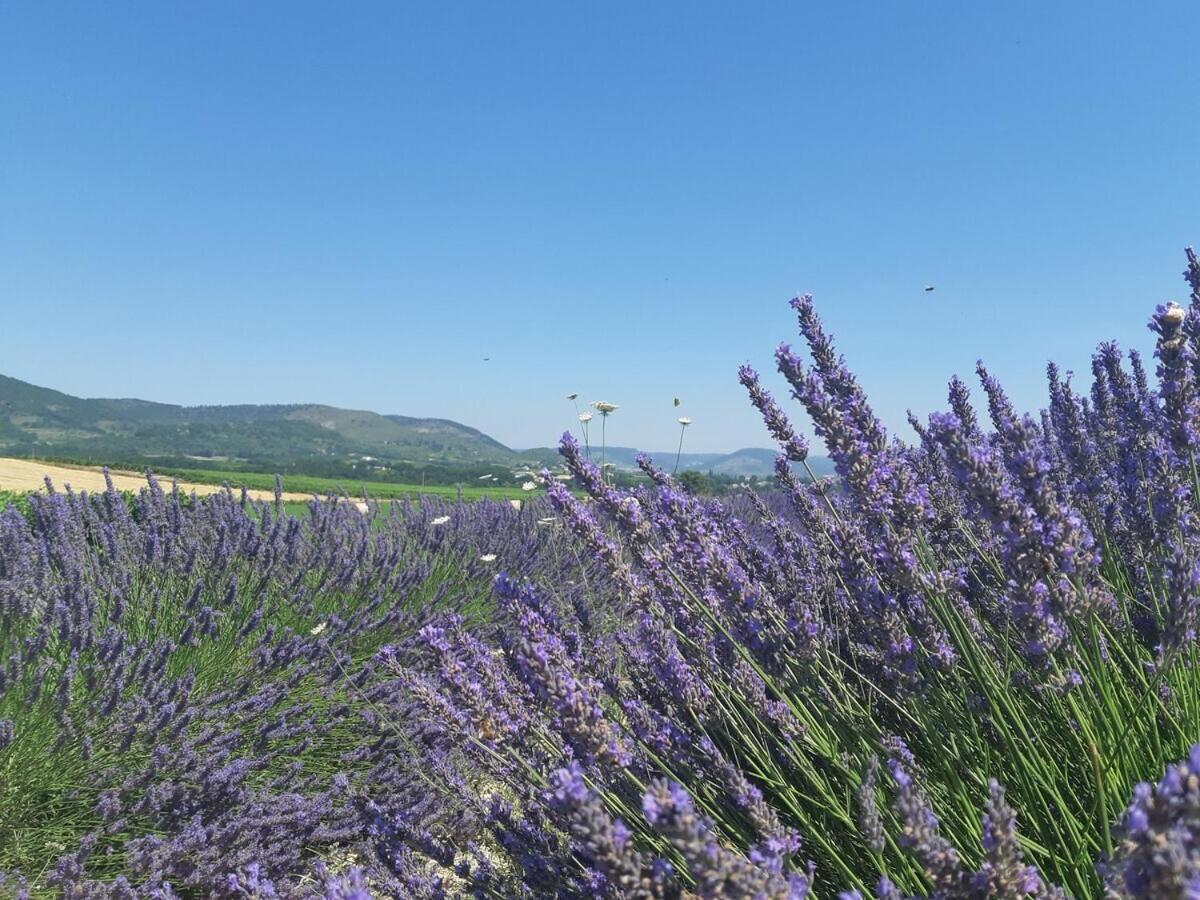 Gites La Musardiere Alba-la-Romaine Rum bild